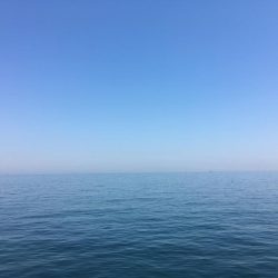 ガシラ大漁穴釣り